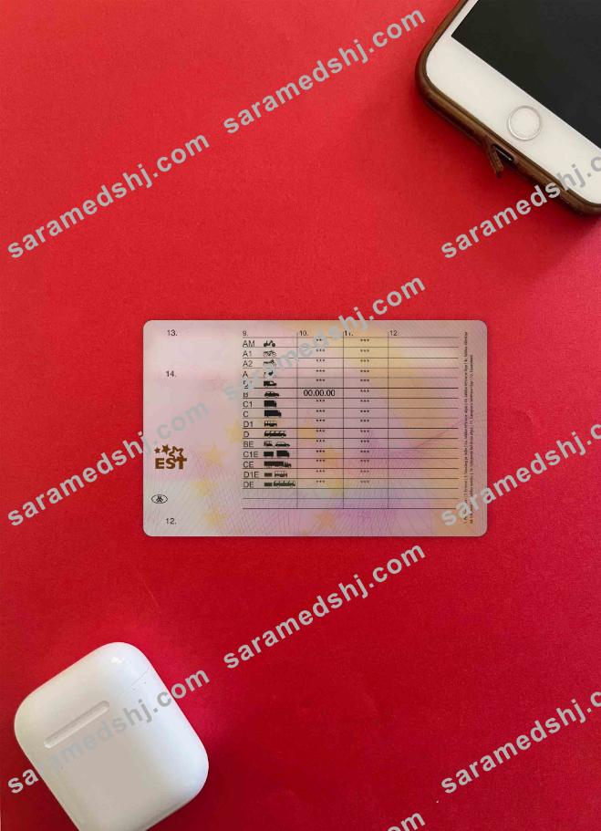 Estonia driving license photolook BACK